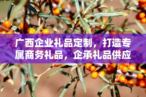 广西企业礼品定制，打造专属商务礼品，企承礼品供应链助力企业发展