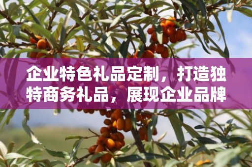 企业特色礼品定制，打造独特商务礼品，展现企业品牌魅力