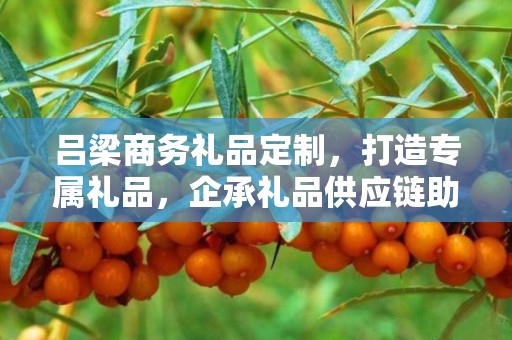 吕梁商务礼品定制，打造专属礼品，企承礼品供应链助力商务往来