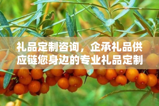 礼品定制咨询，企承礼品供应链您身边的专业礼品定制公司