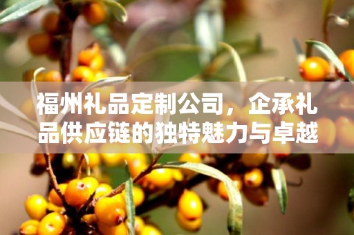 福州礼品定制公司，企承礼品供应链的独特魅力与卓越服务